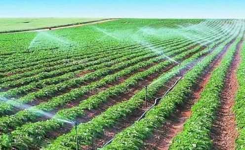 大鸡吧黑人视频免费农田高 效节水灌溉